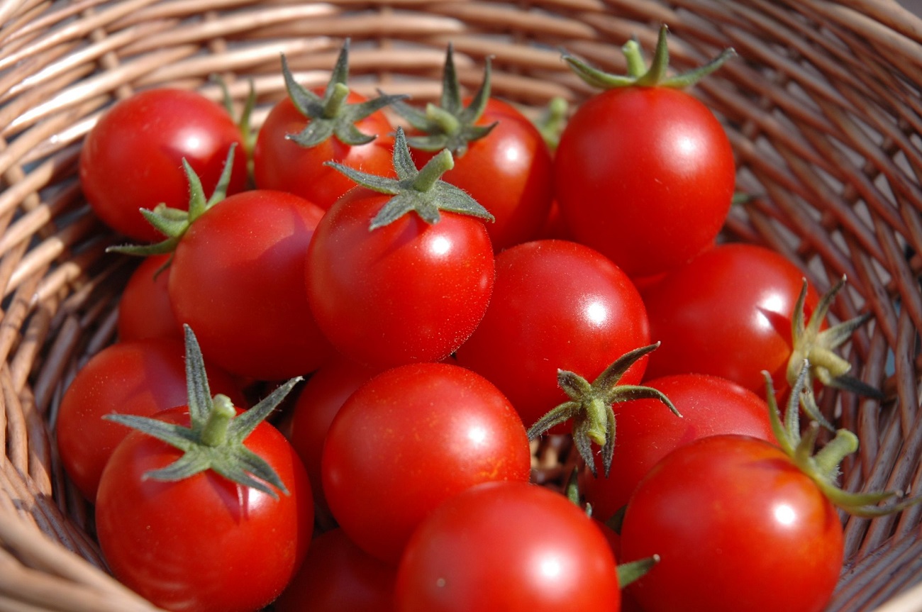 tomaat gezond